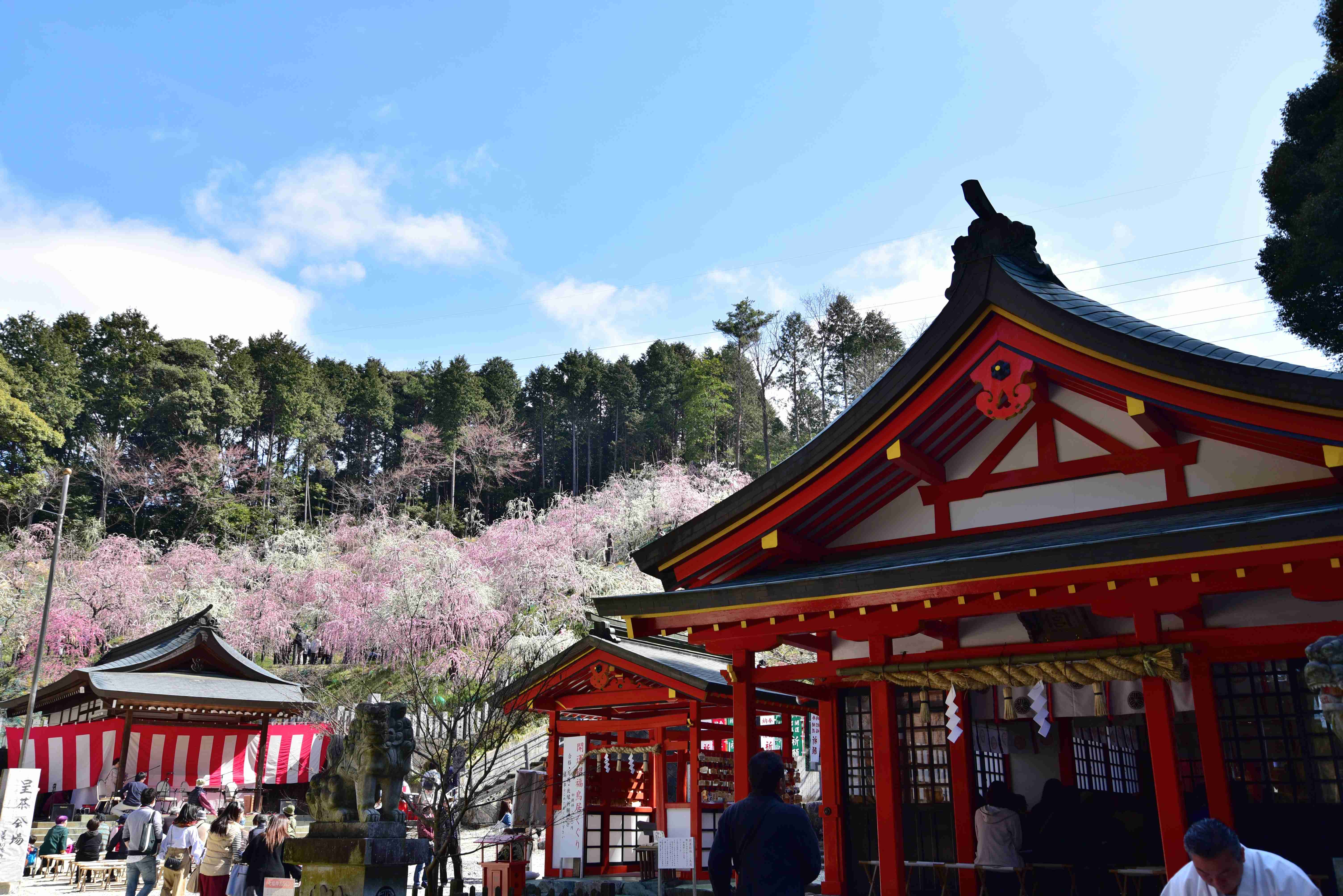 ⛩️ 오아가타 신사 이미지 7